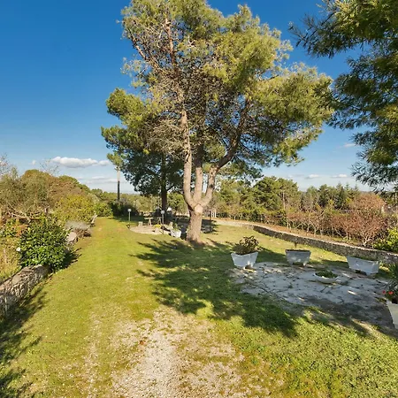 Trullo Holiday home Martina Franca
